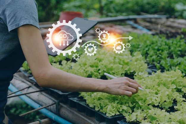 Un hombre de negocios futurista cultiva vegetales y cultivos usando tecnología moderna de IA usando sensores de temperatura y humedad de teléfonos móviles seguimiento de agua íconos de datos de datos holográficos de control climático