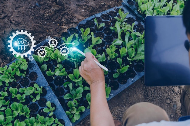 Foto un hombre de negocios futurista cultiva vegetales y cultivos usando tecnología moderna de ia usando sensores de temperatura y humedad de teléfonos móviles seguimiento de agua íconos de datos de datos holográficos de control climático