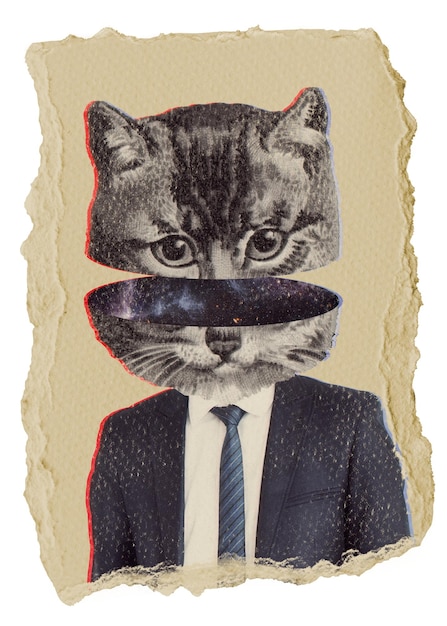 El hombre de negocios del gato png pegatina de animal papel rasgado fondo transparente