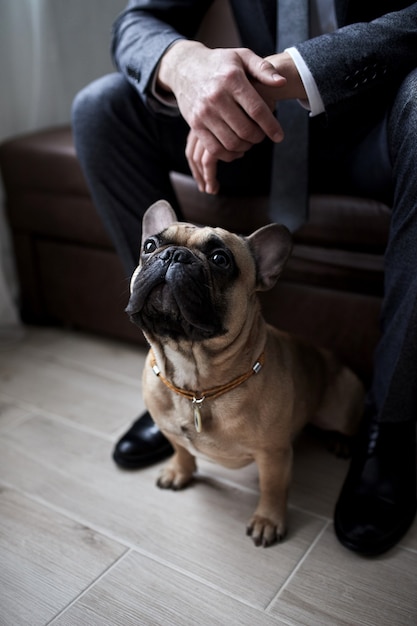 Hombre de negocios con su perro en casa