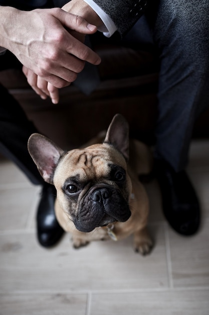 Hombre de negocios con su perro en casa