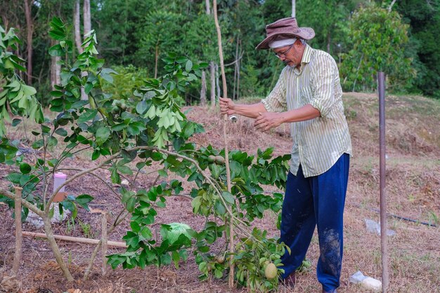 Hombre con paraguas de pie junto a las plantas