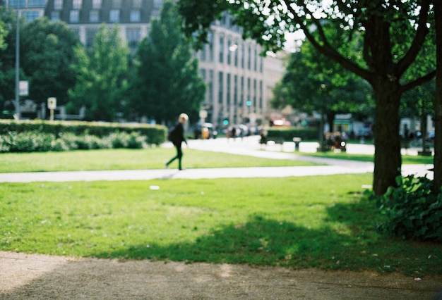 Foto hombre en el parque