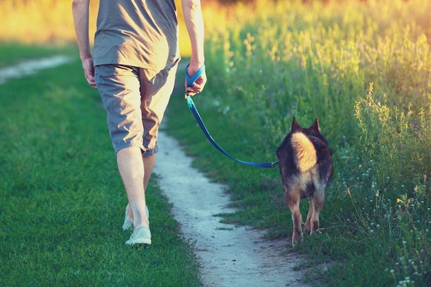 Un hombre paseando con un perro en el campo al atardecer El hombre sujetando al perro con una correa