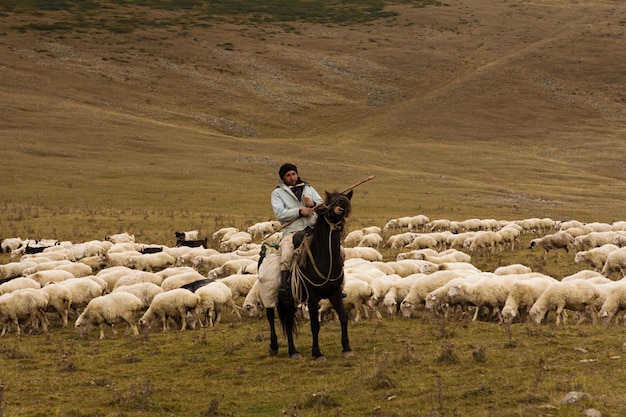 Hombre pastor a caballo cuidando una manada de barcos