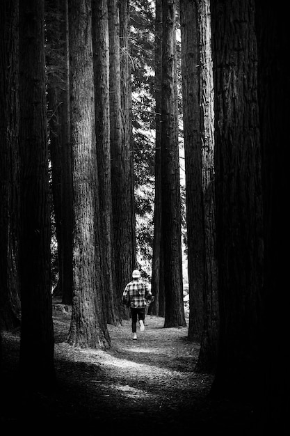 Hombre perdido corriendo en un bosque de pinos