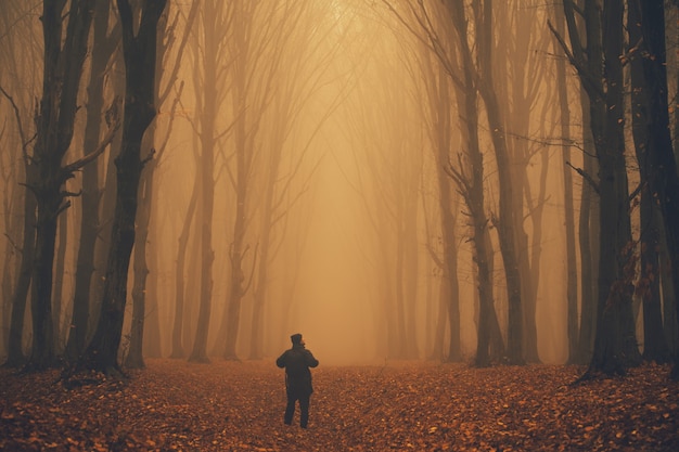 El hombre se perdió en un espeluznante bosque de niebla