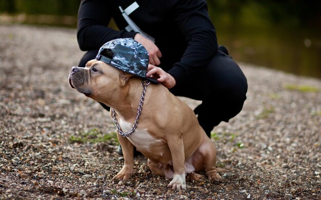 Foto hombre con perro en el campo