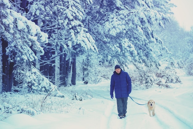 Un hombre con un perro con una correa camina a través de un bosque de pinos nevados en invierno