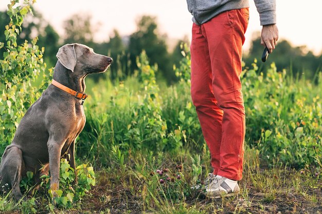 Foto hombre con perro de pie en el campo