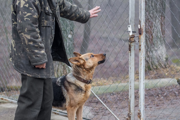 Hombre y perro de pie cerca de una puerta