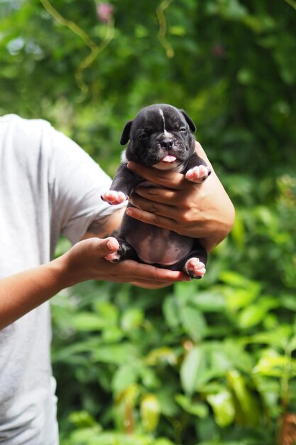 Foto hombre con perro