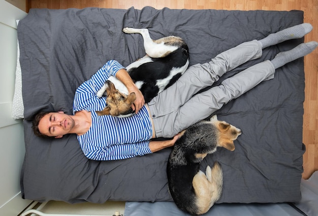 Foto hombre, y, perros, mentira en cama, con, gris, hoja