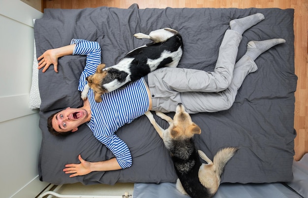 hombre, y, perros, mentira en cama, con, gris, hoja