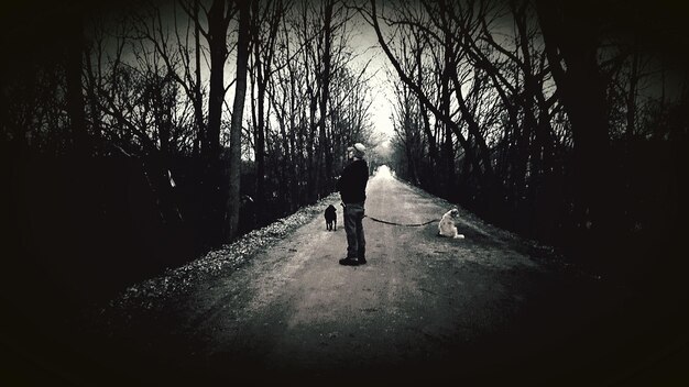 Foto hombre con perros de pie en la carretera en el bosque