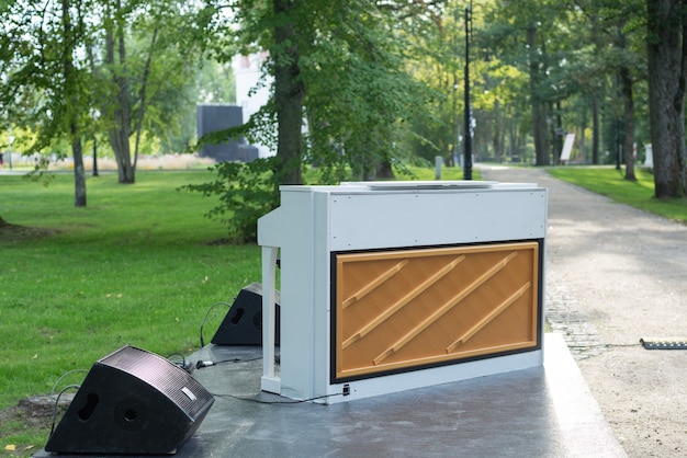 Hombre, pianista, en, exterior, parque