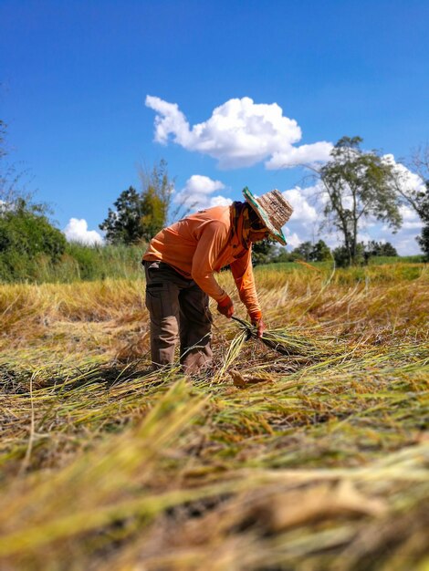 Foto hombre de pie en un campo agrícola