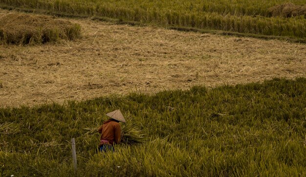 Hombre de pie en el campo