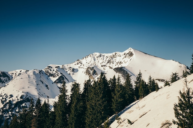 Un hombre de pie en la cima de una montaña cubierta de nieve.