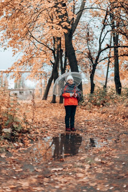 Foto hombre de pie junto a los árboles en el bosque durante el otoño