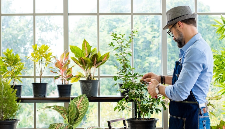 Foto hombre de pie junto a las plantas en maceta contra la ventana