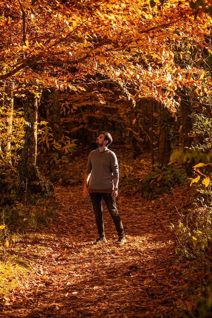 Hombre de pie en medio de un bosque de hayas otoñal
