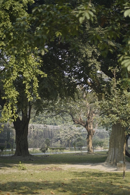 Foto un hombre de pie en la naturaleza