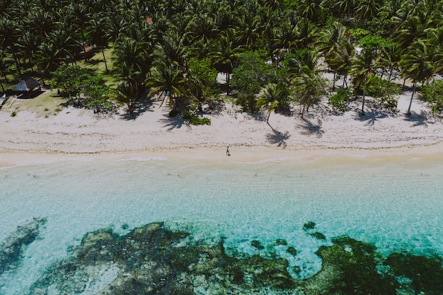 Hombre de pie en la playa y disfrutar del lugar tropical con vistas. colores del mar caribe y palmeras. Concepto sobre viajes y estilo de vida.