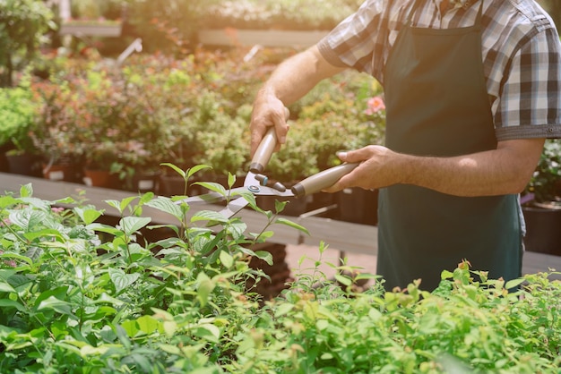 Hombre podando árboles con podadoras Granjero masculino corta ramas en el jardín de primavera con tijeras de podar o tijeras de podar