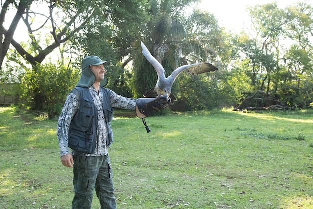 Hombre practicando cetrería con el buzzardeagle blackchested