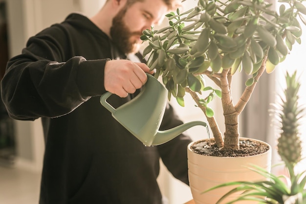 Hombre del primer que riega la planta de interior suculenta por la regadera en el concepto de la planta del hogar y del cuidado de las tareas domésticas