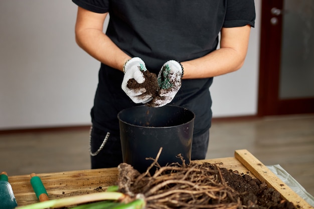 El hombre puso tierra en maceta negra sobre mesa de madera, trasplante de plantas de interior, pasatiempos y ocio, jardinería doméstica.