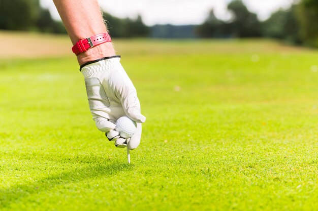 Hombre que pone la pelota de golf en la camiseta, tiro cercano