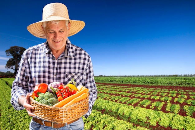 Hombre que sostiene la cesta con verduras orgánicas saludables. Fondo de plantación.