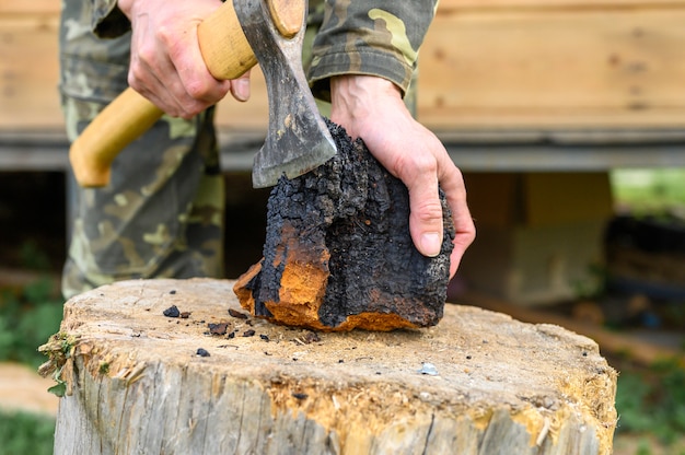 Hombre que sostiene un hongo Chaga