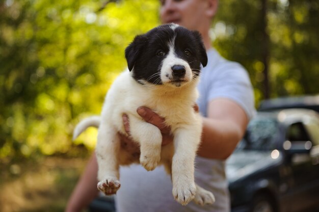 Hombre que sostiene un lindo cachorro blanco y negro triste en el bosque