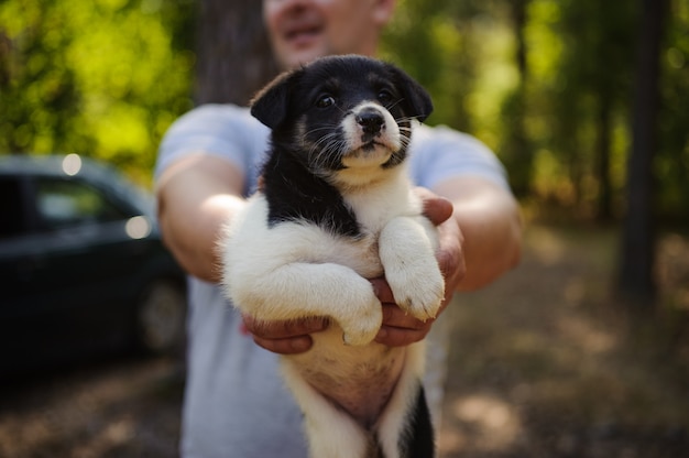 Hombre que sostiene un lindo perrito blanco y negro en el bosque