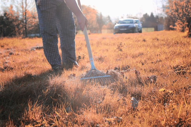 Hombre con rastrillos en otoño hierba vieja