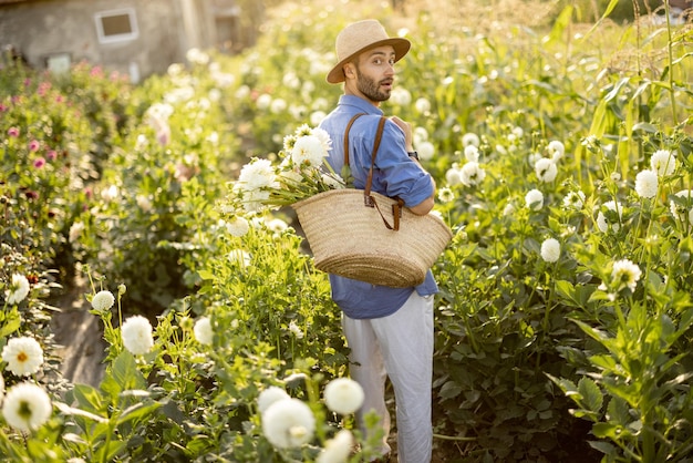 El hombre recoge dalias en la granja de flores al aire libre