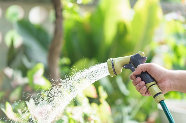 Hombre regando plantas en su jardín Jardinería urbana regando verduras frescas concepto de cuidado de la naturaleza y las plantas