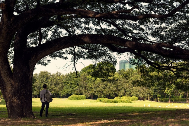 hombre relajante en el parque natural.