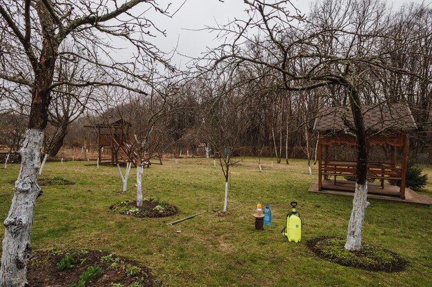 Foto un hombre rocia los árboles frutales contra plagas y enfermedades procesamiento temprano de primavera