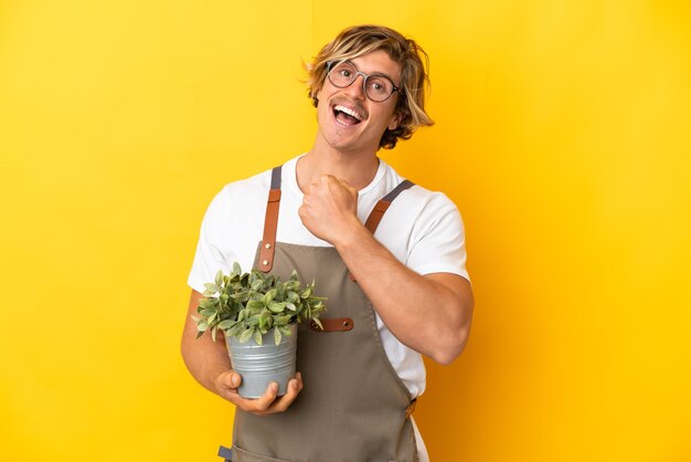 Hombre rubio jardinero sosteniendo una planta aislada en la pared amarilla celebrando una victoria