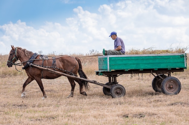 El hombre ruso está montando un carro. Tipo de transporte.