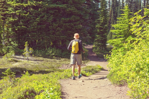 Hombre de senderismo en las montañas canadienses. La caminata es la actividad recreativa popular en América del Norte. Hay muchos senderos pintorescos.