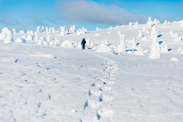 Hombre de senderismo en las montañas con raquetas de nieve en invierno la nieve Finlandia Laponia