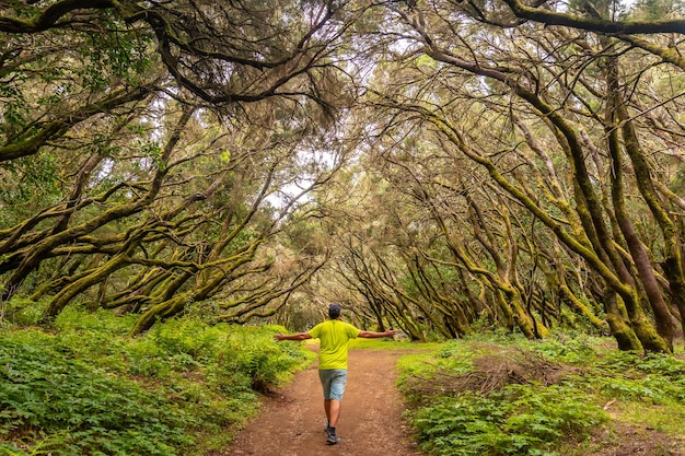 Un hombre en el sendero en el bosque de árboles cubiertos de musgo del Parque Nacional de Garajonay La Gomera Islas Canarias En la excursión a Las Creces