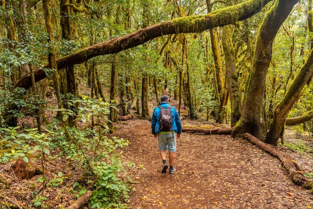 Hombre en el sendero de Garajonay del Parque Natural del Bosque en La Gomera Islas Canarias Sendero del Raso de la Bruma y Risquillos de Corgo