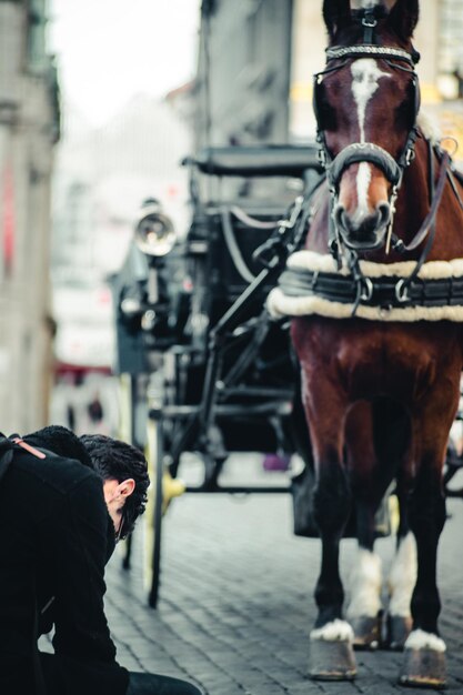 Hombre sentado por un carro de caballos en la calle de la ciudad