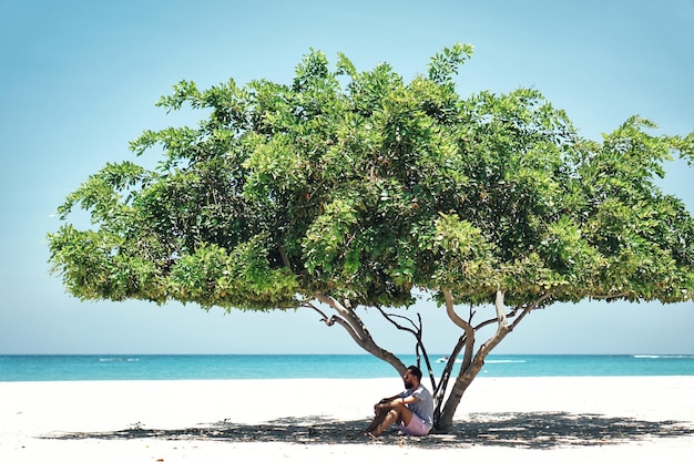 Hombre sentado junto a un árbol en la playa